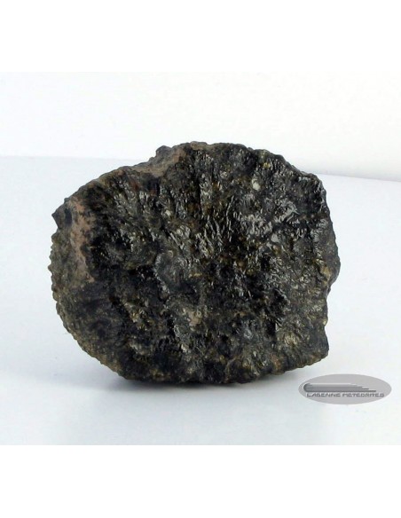 Oriented martian meteorite for sale