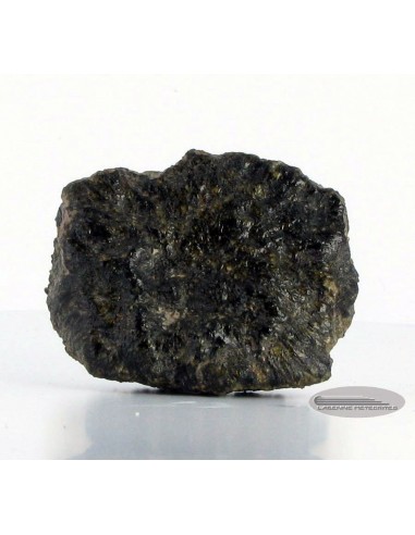 Oriented martian meteorite for sale