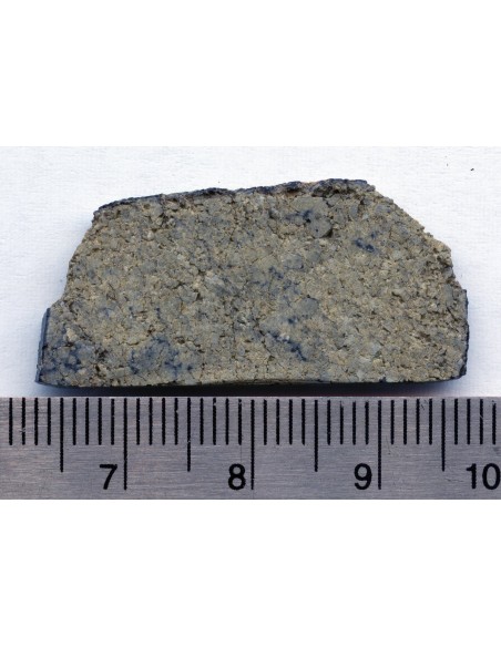 NWA 8694 chassignite