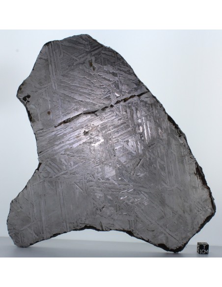 Seymchan Meteorite Large Slice