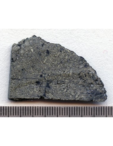 Zagami Meteorite