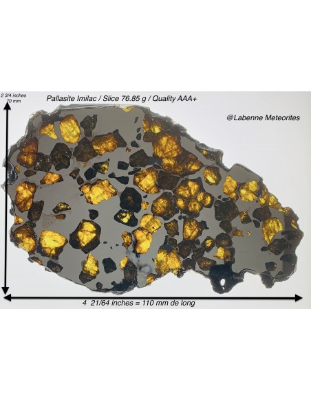 Pallasite Imilac, a 76.85g Slice, Quality AAA+