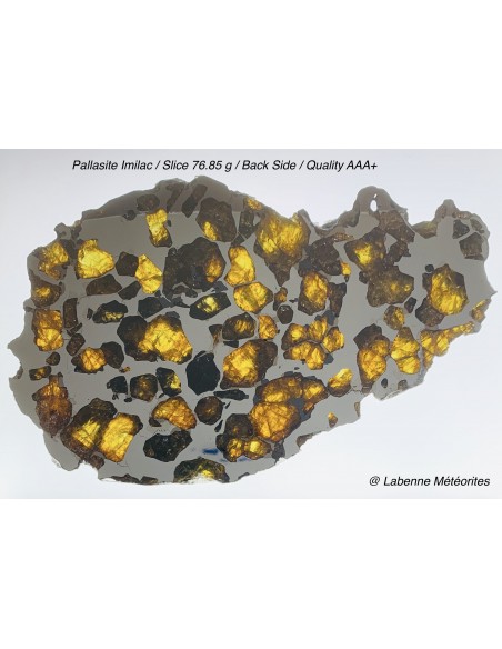 Pallasite Imilac, a 76.85g Slice, Quality AAA+