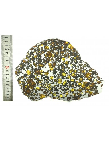 Pallasite Imilac 396 g slice