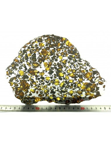 Pallasite Imilac 396 g slice