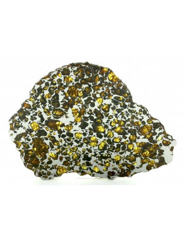 Pallasite Imilac 396 g slice