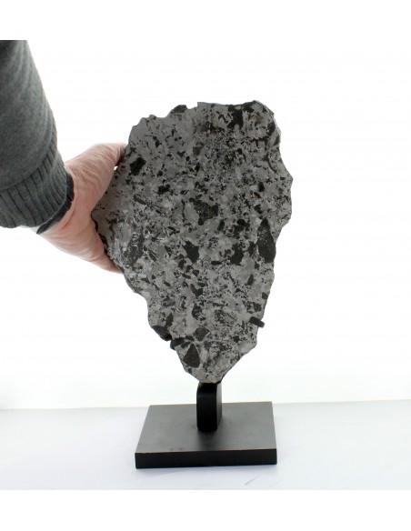 Silicated Iron NWA 5549, end cut 7700 g