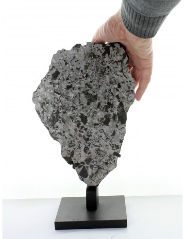 Silicated Iron NWA 5549, end cut 7700 g