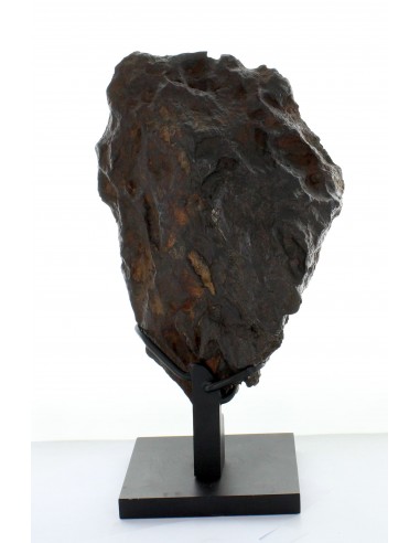 Silicated Iron NWA 5549, end cut 7700 g