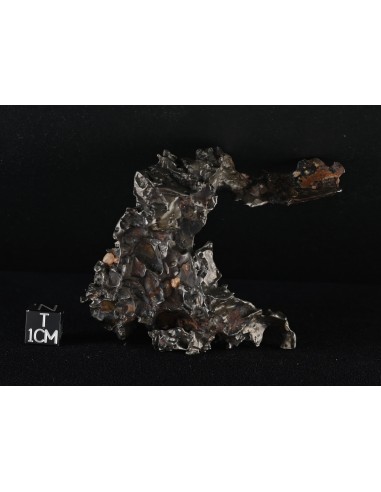 Golden Pallasite – 146.30 g - Rare Desert-Sculpted Pallasite