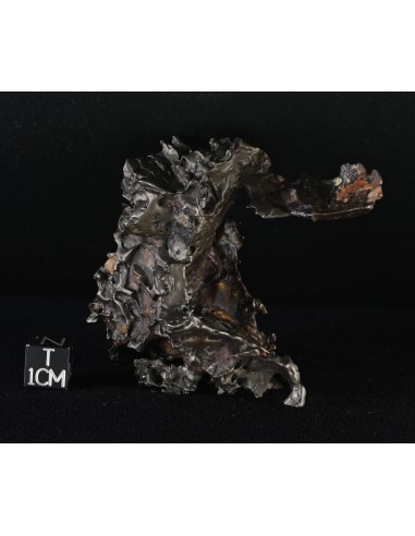 Golden Pallasite – 146.30 g - Rare Desert-Sculpted Pallasite