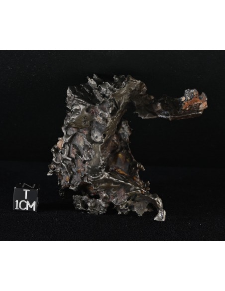 Golden Pallasite – 146.30 g - Rare Desert-Sculpted Pallasite