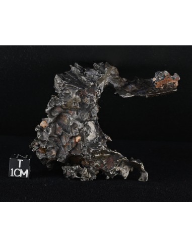 Golden Pallasite – 146.30 g - Rare Desert-Sculpted Pallasite