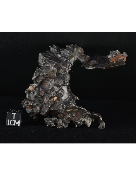 Golden Pallasite – 146.30 g - Rare Desert-Sculpted Pallasite