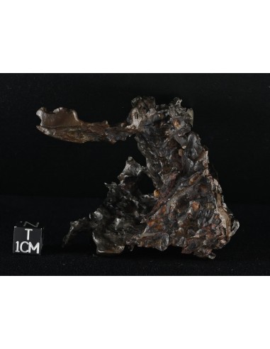 Golden Pallasite – 146.30 g - Rare Desert-Sculpted Pallasite