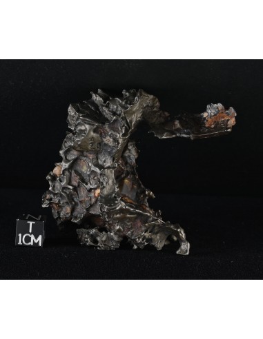 Golden Pallasite – 146.30 g - Rare Desert-Sculpted Pallasite