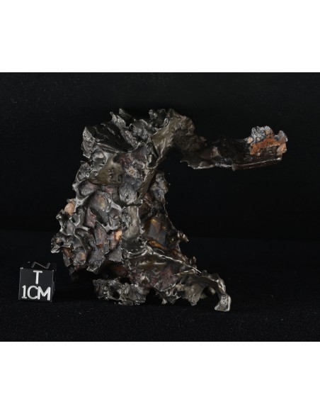 Golden Pallasite – 146.30 g - Rare Desert-Sculpted Pallasite