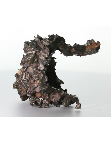 Golden Pallasite – 146.30 g - Rare Desert-Sculpted Pallasite