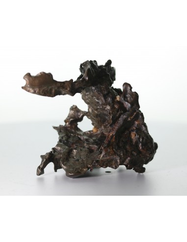 Golden Pallasite – 146.30 g - Rare Desert-Sculpted Pallasite