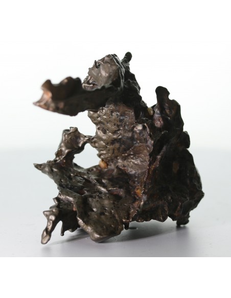 Golden Pallasite – 146.30 g - Rare Desert-Sculpted Pallasite