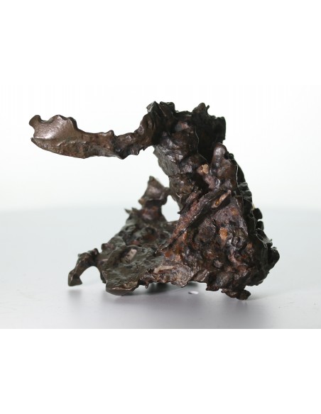 Golden Pallasite – 146.30 g - Rare Desert-Sculpted Pallasite