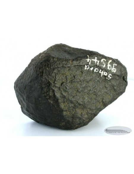 Carbonaceous Chondrite CO / Sahara 99544 Main Mass