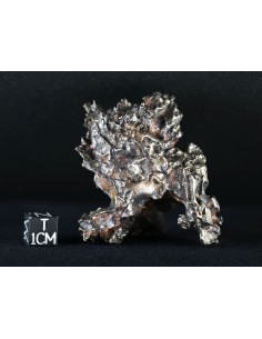 Golden Pallasite – Aeolian Sculpting Example (92.30 g)