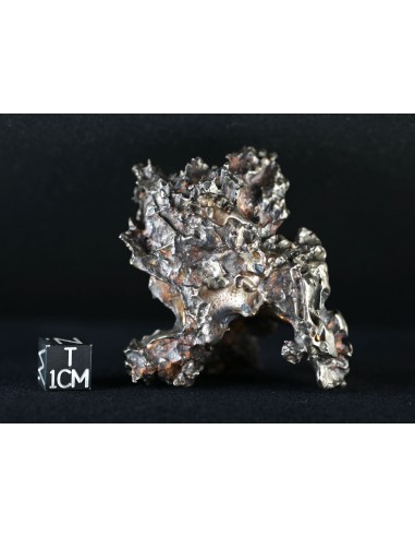 Golden Pallasite – Aeolian Sculpting Example (92.30 g)