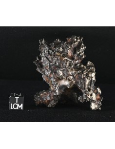 Golden Pallasite – Aeolian Sculpting Example (92.30 g) 2
