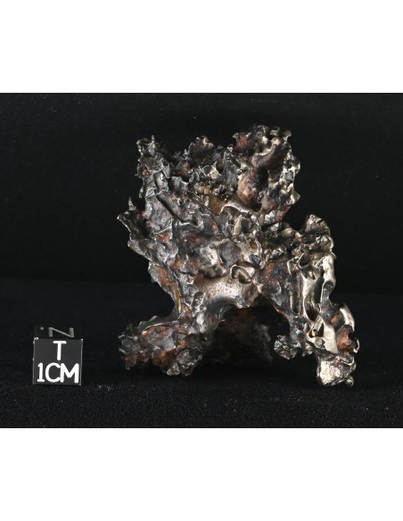 Golden Pallasite – Aeolian Sculpting Example (92.30 g)