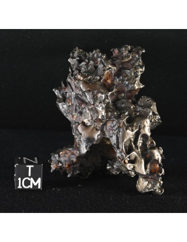 Golden Pallasite – Aeolian Sculpting Example (92.30 g)