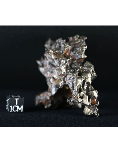 Golden Pallasite – Aeolian Sculpting Example (92.30 g)