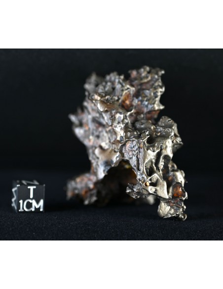 Golden Pallasite – Aeolian Sculpting Example (92.30 g)