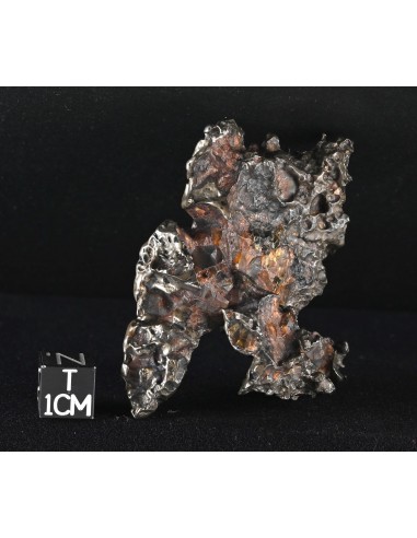 Golden Pallasite – Aeolian Sculpting Example (92.30 g)