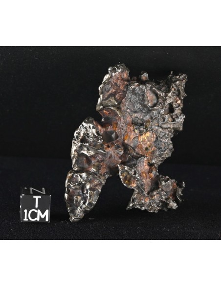 Golden Pallasite – Aeolian Sculpting Example (92.30 g)