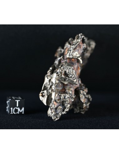 Golden Pallasite – Aeolian Sculpting Example (92.30 g)