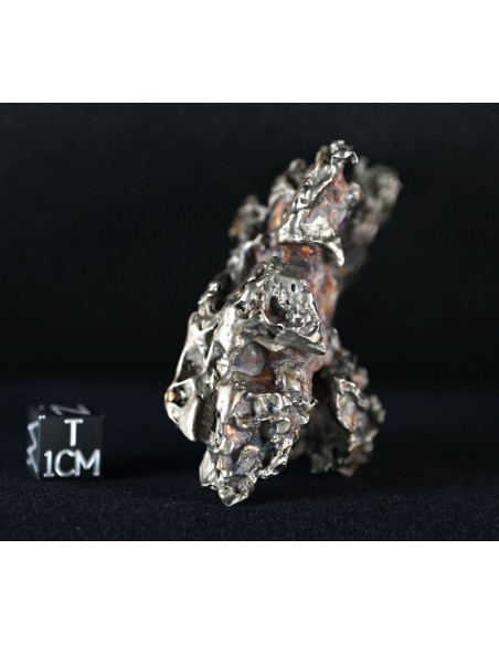 Golden Pallasite – Aeolian Sculpting Example (92.30 g)