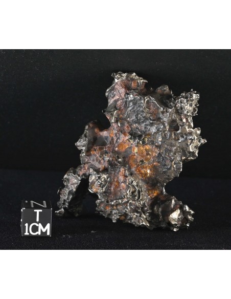 Golden Pallasite – Aeolian Sculpting Example (92.30 g)