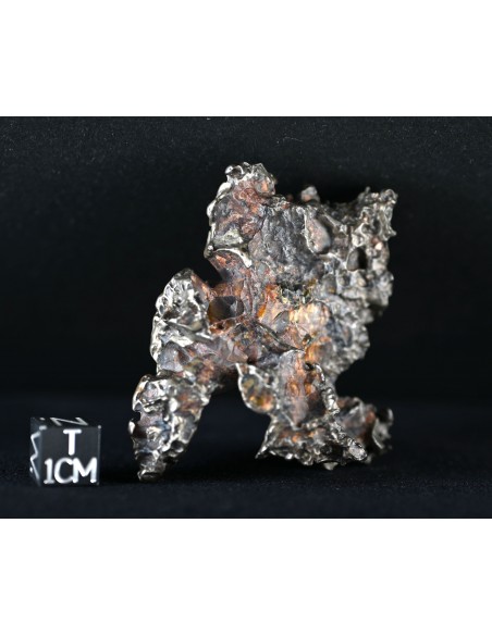 Golden Pallasite – Aeolian Sculpting Example (92.30 g)
