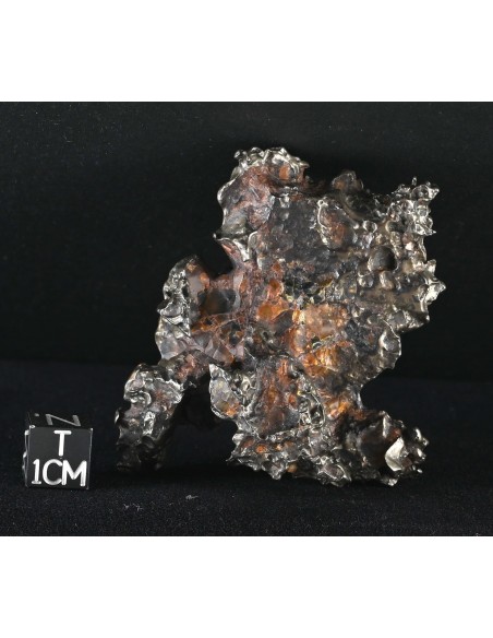 Golden Pallasite – Aeolian Sculpting Example (92.30 g)