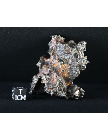 Golden Pallasite – Aeolian Sculpting Example (92.30 g)