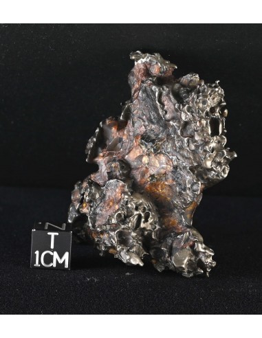 Golden Pallasite – Aeolian Sculpting Example (92.30 g)