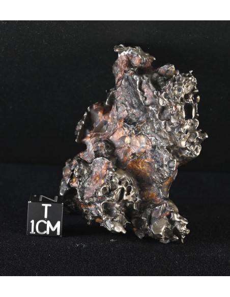 Golden Pallasite – Aeolian Sculpting Example (92.30 g)