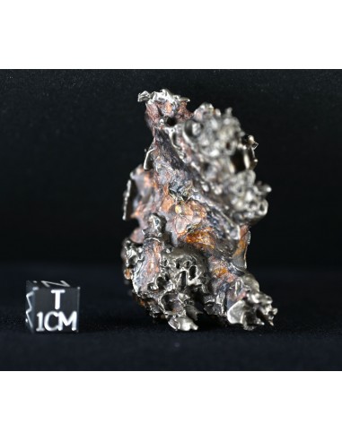 Golden Pallasite – Aeolian Sculpting Example (92.30 g)