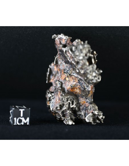 Golden Pallasite – Aeolian Sculpting Example (92.30 g)