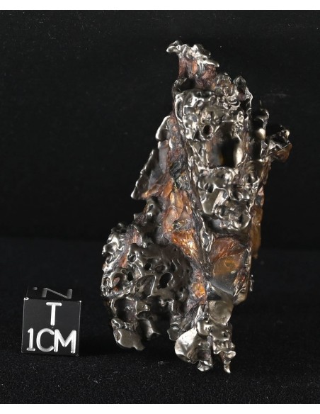 Golden Pallasite – Aeolian Sculpting Example (92.30 g)