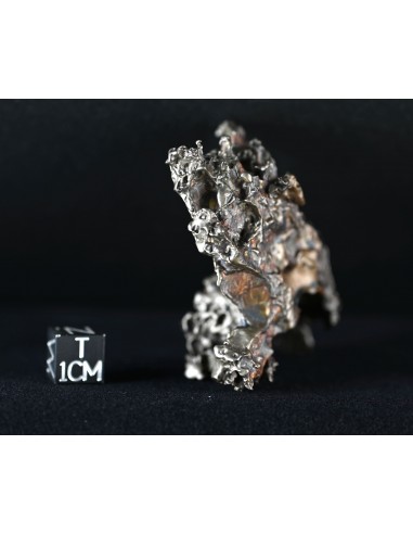 Golden Pallasite – Aeolian Sculpting Example (92.30 g)