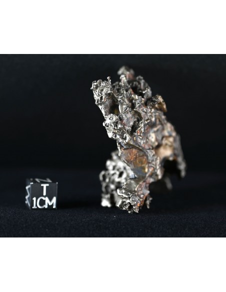 Golden Pallasite – Aeolian Sculpting Example (92.30 g)