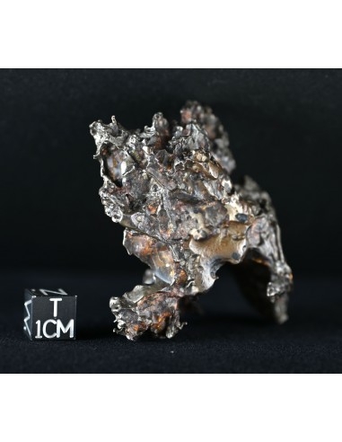 Golden Pallasite – Aeolian Sculpting Example (92.30 g)