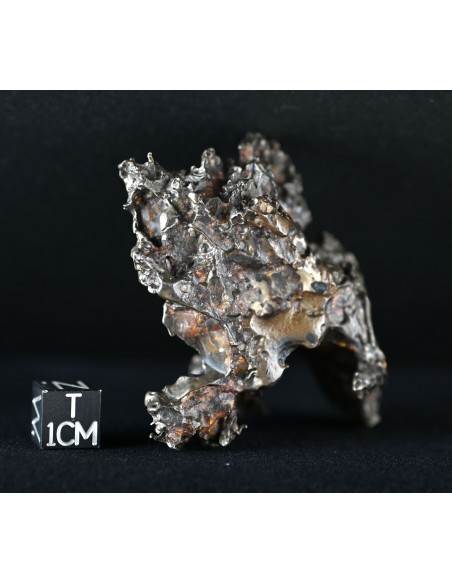 Golden Pallasite – Aeolian Sculpting Example (92.30 g)